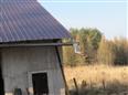 Dražba podílu id. 1/4 na RD se zahradou v obci Žďár nad Orlicí, okres Rychnov nad Kněžnou 46 Thumbnail image for /_Data/Drazby/Obrazky/DR00083427/Velke/DR00083427~pok3q_46.jpg