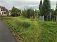 Thumbnail image for /_Data/Drazby/Obrazky/DR00083498/Velke/DR00083498~93rn5_3.jpg