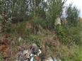 Thumbnail image for /_Data/Drazby/Obrazky/DR00083498/Velke/DR00083498~i790x_4.jpg
