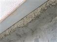 Thumbnail image for /_Data/Drazby/Obrazky/DR00083514/Velke/DR00083514~gw0j5_6.jpg