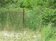 Thumbnail image for /_Data/Drazby/Obrazky/DR00083527/Velke/DR00083527~grf77_3.jpg