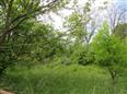 Thumbnail image for /_Data/Drazby/Obrazky/DR00083527/Velke/DR00083527~w9lvi_4.jpg