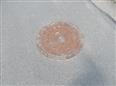 Thumbnail image for /_Data/Drazby/Obrazky/DR00083541/Velke/DR00083541~x01qy_5.jpg