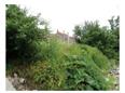 Thumbnail image for /_Data/Drazby/Obrazky/DR00083546/Velke/DR00083546~okore_4.jpg