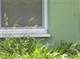 Dražba podílu id. 1/2 na objektu se zahradou v obci Přibice, okres Brno-venkov 10 Thumbnail image for /_Data/Drazby/Obrazky/DR00083561/Velke/DR00083561~8rntm_10.jpg