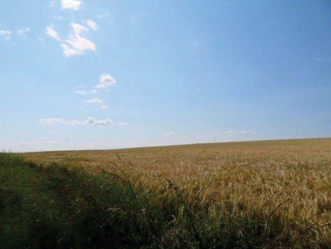 120 EX 8894/14-281 podíl 11/60 pozemku v k.ú. Březolupy, okres Uherské Hradiště