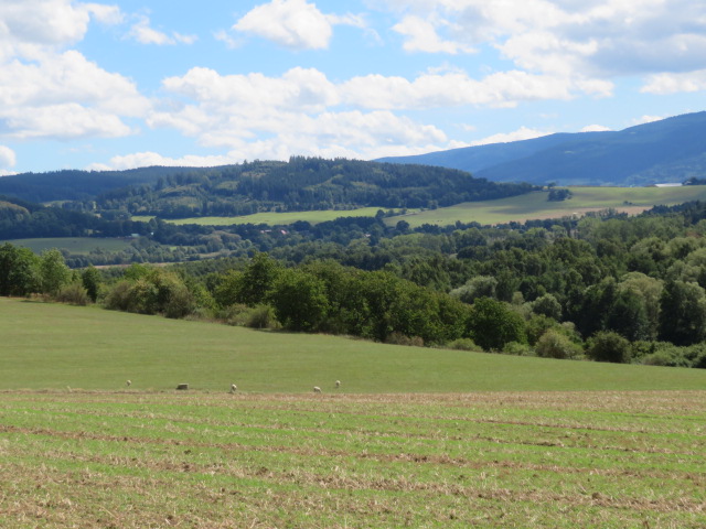 120 EX 1944/06-349 podíl 1/20 pozemků v k.ú. Úborsko, okres Klatovy