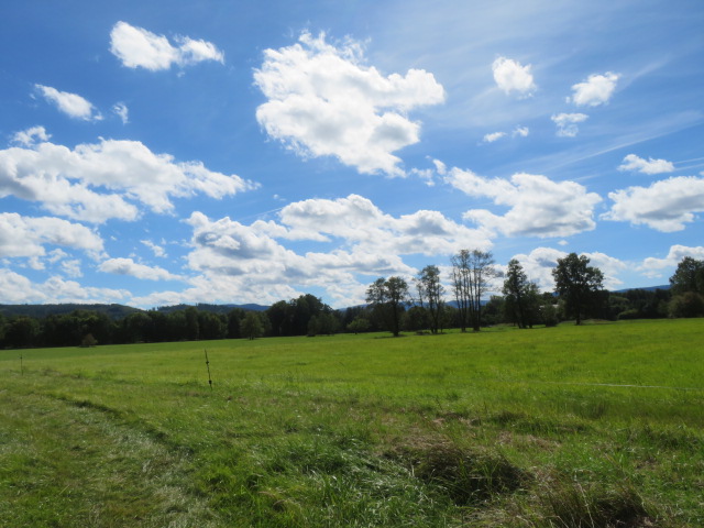 120 EX 1944/06-350 podíl 1/200 pozemku v k.ú. Úborsko, okres Klatovy