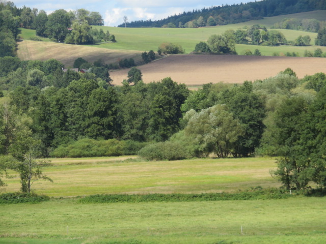 120 EX 1944/06-351 podíl 1/20 pozemků v k.ú. Petrovice nad Úhlavou, okres Klatovy