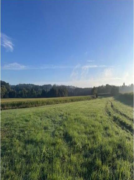 dražba 1/6 pozemků v k.ú. Nosetín, okres Písek