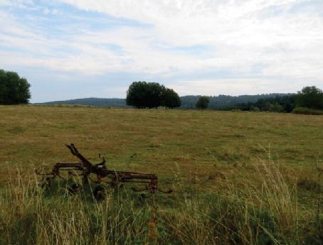 120  EX 4680/24-132 podíl 1/2 pozemku v k.ú. Lesná u Tachova, okres Tachov