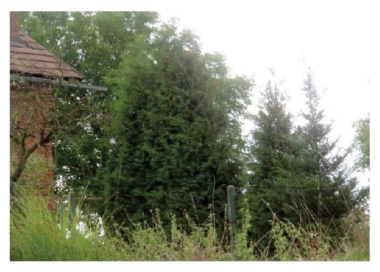 120 EX 35825/15-219 - 1/3 pozemků v obci Trstěnice, okres Svitavy