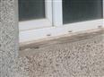Thumbnail image for /_Data/Drazby/Obrazky/DR00083791/Velke/DR00083791~dge8x_3.jpg