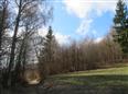 Thumbnail image for /_Data/Drazby/Obrazky/DR00083838/Velke/DR00083838~40a30_2.jpg
