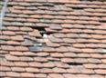 Thumbnail image for /_Data/Drazby/Obrazky/DR00083841/Velke/DR00083841~lbmef_21.jpg