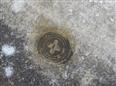 Thumbnail image for /_Data/Drazby/Obrazky/DR00083844/Velke/DR00083844~b90u0_25.jpg