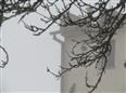 Thumbnail image for /_Data/Drazby/Obrazky/DR00083844/Velke/DR00083844~ve30d_13.jpg