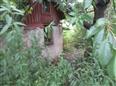 Thumbnail image for /_Data/Drazby/Obrazky/DR00083914/Velke/DR00083914~c6mrm_12.jpg